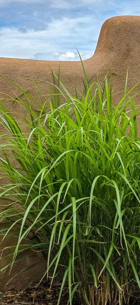 IHM Retreat Center - Sata Fe Workshops center